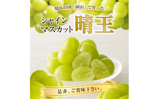 アイテムID:445936の画像5枚目