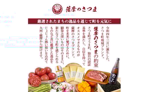 鹿児島県さつま町のふるさと納税 s679 ＜定期便・全3回(連続月)＞《令和6年産》薩摩のさつま(計15kg・5kg×3回) 鹿児島 国産 九州産 お米 こめ コメ 米 白米 精米 ヒノヒカリ ひのひかり ごはん ご飯 ライス 定期便 連続月 毎月 【JA北さつま】