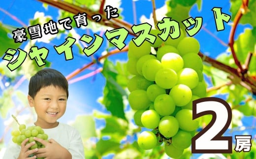 【先行予約】<令和7年産>飯山市産 シャインマスカット2房（約1kg以上）(7-A32)