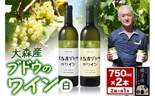 大森産ワインの甘辛飲みくらべ 750ml×各1本 計2本 2141109 - 秋田県横手市