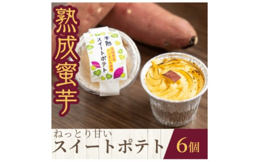 熟成蜜芋 ねっとり甘い 半熟スイートポテト120g×6個【1618095】