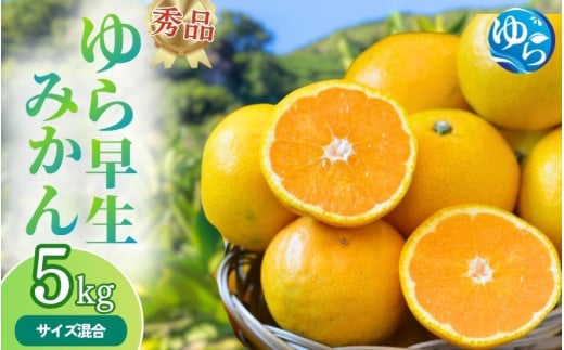 【先行予約】秀品 ゆら早生みかん 5kg 【2025年10月初旬～順次発送予定】/ みかん ミカン 和歌山県 柑橘 早生 甘い 蜜柑 フルーツ 果物 くだもの 食品  産地直送 由良町 ゆら早生 早生みかん 【myvi003】