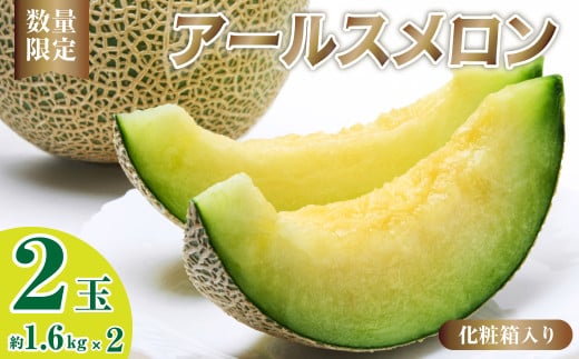 アールスメロン ミラノ夏Ⅰ 2玉 (1玉約1.6kg) 化粧箱入り | アールスメロン メロン ミラノ夏Ⅰ 国産メロン 産地直送 夏ギフト お中元 果物 くだもの フルーツ 美味しい おいしい 甘み デザート スイーツ ギフト 高糖度メロン 贈り物 埼玉県 久喜市