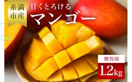 【 先行予約 2025年 発送 】 かねよしマンゴーの甘くとろける マンゴー 1.2kg (大玉500g～650g)( 贈答用 ) アップルマンゴー フルーツ 果物 ギフト 沖縄県産 国産 完熟マンゴー くだもの ギフト 贈答品 贈り物 産地直送 農家直送 糸満市