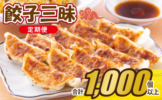 【合計1000個以上】餃子三昧 定期便 88個×12回【自家製 薄皮 手作り ぎょうざ 惣菜 毎月配送】