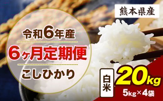 【6ヶ月定期便】令和6年産 定期便 こしひかり 20kg 白米 阿蘇 うぶやま 米 定期便 熊本県産 ふるさと納税 精米 ひの 米 こめ ふるさとのうぜい コシヒカリ コメ お米 おこめ《申込み翌月から出荷》 2144861 - 熊本県産山村