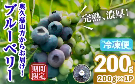 冷凍ブルーベリー200g ブルーベリー 果物 フルーツ 青果物 冷凍 スムージー ヨーグルト おやつ 【奥久慈 まほろばの郷 ふれあい農園】【ho1520】 2141530 - 茨城県常陸大宮市
