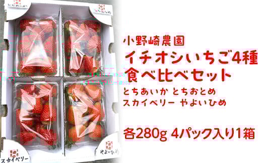 【先行受付】いちご王国栃木 いちご4種食べ比べセット (とちあいか とちおとめ スカイベリー やよいひめ各280g 4パック入り1箱) ｜果物 苺 栃木県産 小野崎農園 数量限定 期間限定※2026年1月上旬～3月下旬頃に順次発送予定
