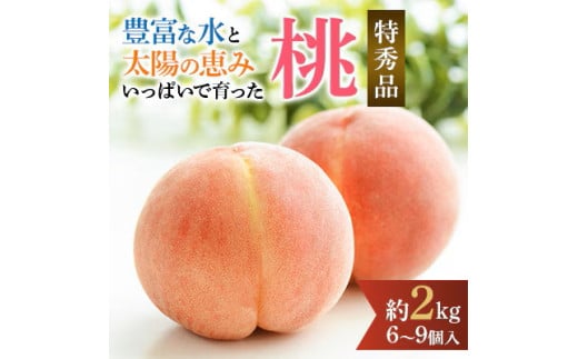 先行受付!　旬の桃　(特秀品)　約2kg　6～9個入 ※2025年6月下旬～8月下旬頃より順次発送予定 ※離島への配送不可