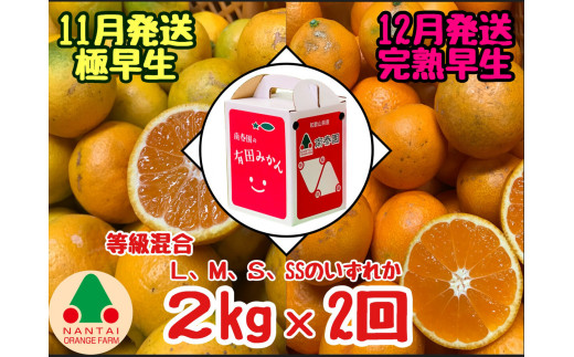 定期便 11・12月発送 有田みかん 2種 食べくらべ 極早生 ＆ 完熟早生 2kg 和歌山 みかん 南泰園 全2回