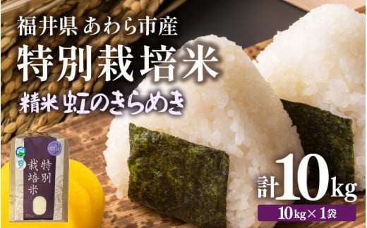 【先行予約】【令和7年産】化学肥料不使用 特別栽培米 虹のきらめき 精米 10kg × 1袋 / 白米 米 福井県あわら市産 美味しい 特別栽培米 減農薬 安心な米 旨味 甘み もっちり 冷蔵保管米 ※2025年9月下旬より順次発送 [aw010-b008]