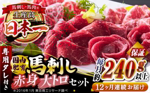 【全12回定期便】国内肥育 馬刺し 大トロ霜降り赤身セット 約240g以上保証 ( 大トロ霜降り 赤身 ) 専用タレ付き 熊本 山都町 冷凍 馬肉 馬刺 ヘルシー 小分け【有限会社 丸重ミート】[YAK043]