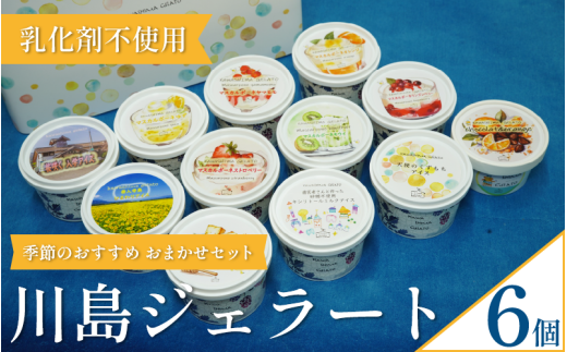 ジェラート  詰め合わせ おまかせ 6個 セット 120ml 川島ジェラート アイスクリーム アイス シャーベット デザート スイーツ お菓子 洋菓子 おやつ くずもち キシリトール ひまわり 桜 入学 ブルーチーズ くるみ ギフト プレゼント 贈答 お取り寄せ グルメ 季節限定 冷凍 徳島県 吉野川市 A sweets factory 2120095 - 徳島県吉野川市