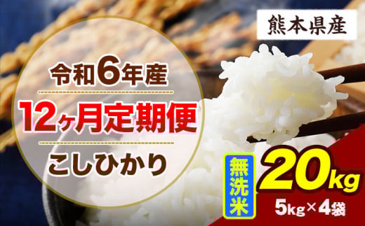 【12ヶ月定期便】令和6年産 定期便 こしひかり 20kg 無洗米 阿蘇 うぶやま 米 定期便 熊本県産 ふるさと納税 精米 ひの 米 こめ ふるさとのうぜい コシヒカリ コメ お米 おこめ《申込み翌月から出荷》