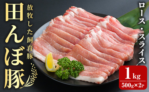 田んぼ豚 ロース スライス 1kg(500g × 2パック) 豚肉 ぶた ブタ しゃぶしゃぶ 生姜焼き 放牧飼育 小分け 【株式会社いなほ】 tm260 690494 - 宮城県登米市