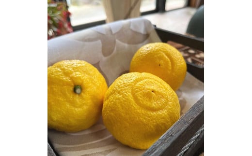 特選 完熟 はるかみかん 約3kg［先行予約］［MS54］ 2141586 - 和歌山県九度山町