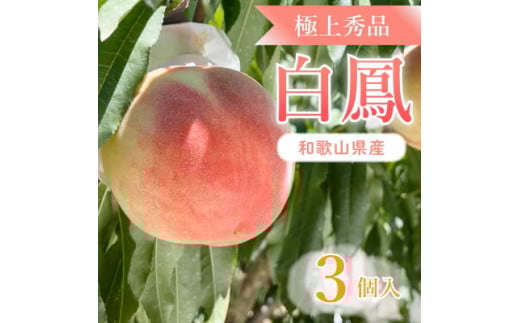 桃先行受付!　桃の王様【白鳳】　特秀品　食べきりやすい3個入り ※2025年6月下旬～7月下旬頃より順次発送予定 ※離島への配送不可