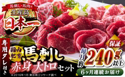 【全6回定期便】国内肥育 馬刺し 大トロ霜降り赤身セット 約240g以上保証 ( 大トロ霜降り 赤身 ) 専用タレ付き 熊本 山都町 冷凍 馬肉 馬刺 ヘルシー 小分け【有限会社 丸重ミート】[YAK030]  1118591 - 熊本県山都町