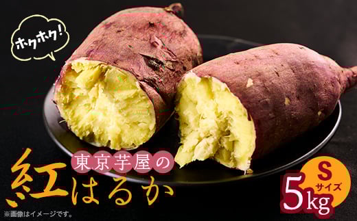 東京都産サツマイモ5kg(紅はるか)Sサイズ【1601471】