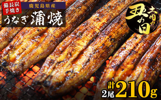 土用丑の日 鹿児島県大隅産 備長炭手焼うなぎ蒲焼2尾(210g) 2110666 - 鹿児島県大崎町