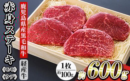 鹿児島県産 黒毛和牛（経産和牛） 赤身 ステーキ 約600g（100g×6枚） 国産 冷凍 小分け 尾崎牧場産【B-386H】 2140984 - 鹿児島県いちき串木野市
