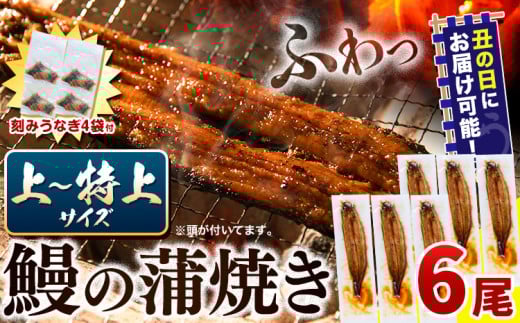 〈スピード出荷〉 うなぎ 国産 鰻の蒲焼 6尾 ＋ きざみうなぎ 30g×4袋 上～特上サイズ《3-7営業日以内に出荷(土日祝除く)》| うなぎ 蒲焼 国産 うなぎ 小分け うなぎ 国産 うなぎ 父の日 うなぎ 母の日ギフト うなぎ 簡易包装 送料無料 徳島県 上板町 1987950 - 徳島県上板町