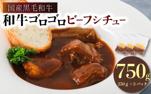 和牛ゴロゴロビーフシチュー 国産黒毛和牛使用 750g 250g × 3袋 ( ビーフシチュー 黒毛和牛 国産 和牛 国産牛 やわらか お肉 肉 牛肉 ビーフ 冷凍 赤ワイン 煮込み デミグラス シチュー 具材ゴロゴロ 洋食 総菜 小分け 簡単 調理 レトルト 一人暮らし ごはん おかず カレー 人気 おすすめ グルメ 神戸ミートフーズ 南丹市 京都 京都府 )