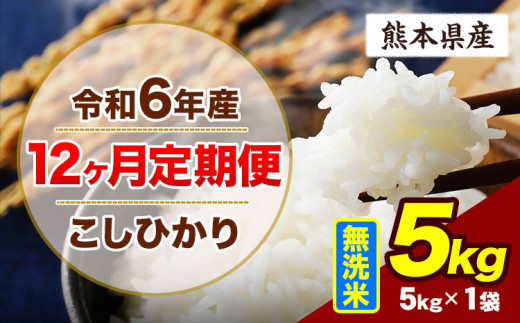 【12ヶ月定期便】令和6年産 定期便 こしひかり 5kg 無洗米 阿蘇 うぶやま 米 定期便 熊本県産 ふるさと納税 精米 ひの 米 こめ ふるさとのうぜい コシヒカリ コメ お米 おこめ《申込み翌月から出荷》 2144870 - 熊本県産山村