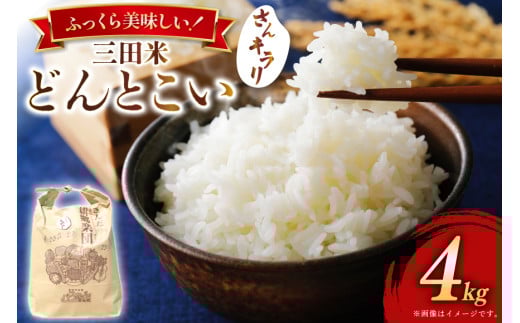 米 令和6年 どんとこい (さんキラリ) 4kg 精米  [パスカルさんだ 兵庫県 三田市 3d28bae660028] こめ コメ お米 おこめ オコメ 精米 白米 もちもち つやつや ご飯 ごはん ふるさと納税 ふるさと 人気 おすすめ 送料無料 2143490 - 兵庫県三田市