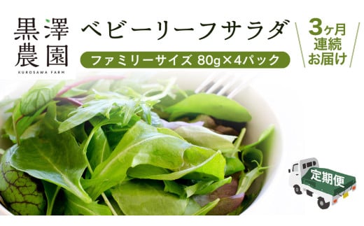 【 定期便 】3か月連続でお届け！ 黒澤農園 の ベビーリーフサラダ （ 80g × 4パック ）ファミリーサイズ ベビーリーフ サラダ 生野菜 食べやすい 若葉 ファミリー 旬 新鮮 国産 彩り 頒布会 野菜 葉野菜 国産 直送 定期