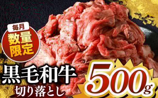 栃木県産 黒毛和牛 切り落とし 500g | 黒毛和牛 牛 肉 にく お肉 真岡市 栃木県 送料無料