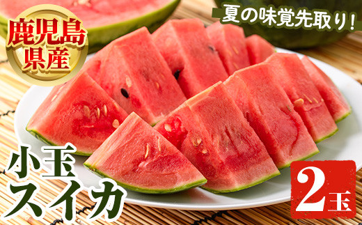 鹿児島県産 小玉スイカ(2玉) 国産 果物 スイカ すいか 西瓜 フルーツ スイーツ スムージー ジュース 期間限定【松永青果】akn053-06