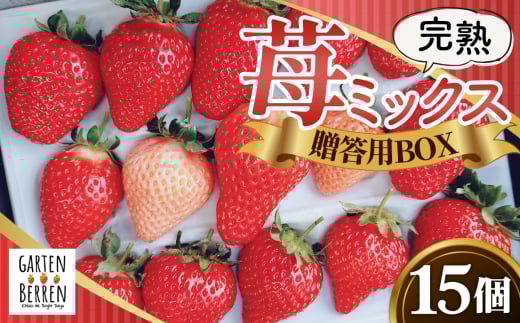 No.399 完熟苺ミックス15粒贈答用BOX ／ 厳選 大粒 イチゴ いちご 果物 フルーツ 大阪府 特産品