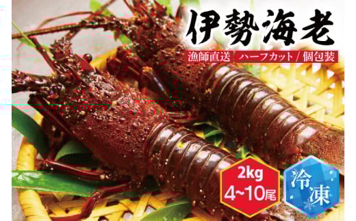 【漁師直送／活〆冷凍】伊勢海老（2kg／4~10本）（KBL-19)