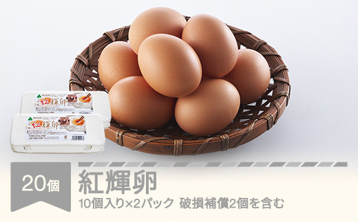 自然平飼 紅輝卵 20個  (10個入りパック×2)  ※破損補償2個を含む 卵 たまご 半澤鶏卵 hk-egkkx20 2132258 - 山形県村山市