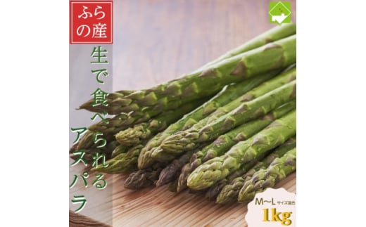 2026年先行予約　「生」で食べられる!北海道富良野産 グリーンアスパラ 1kg(M～Lサイズ混合)【1624024】