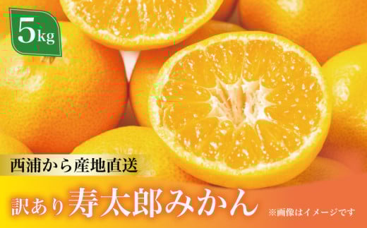 訳あり 寿太郎みかん 約5kg フルーツ 蜜柑 柑橘 オレンジ 果物  ( 数量限定 みかん 果物 みかん フルーツ みかん 柑橘 みかん 国産 )
