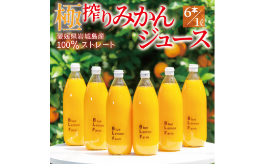愛媛 ブルーレモンファームのごくしぼりみかんジュース 1L 6本【1489673】 1247742 - 愛媛県上島町