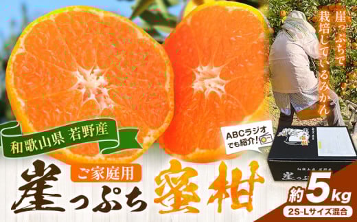 みかん ご家庭用 崖っぷち蜜柑 若野産 約5kg 2S～Lサイズ混合 《11月下旬-1月上旬頃出荷予定》 崖っぷち蜜柑 和歌山県 日高川町 みかん 柑橘 フルーツ 果物 ミカン 送料無料