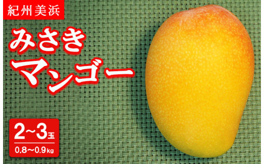 紀州美浜みさきマンゴー2〜3玉(0.8〜0.9kg)※離島への配送不可※2025年7月下旬〜9月上旬頃に順次発送予定