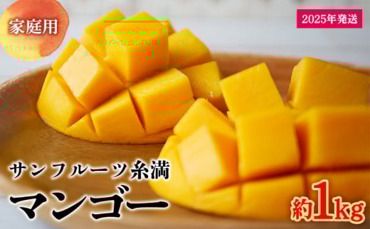 【2025年発送】サンフルーツ糸満のマンゴー家庭用 約1kg 産地直送 先行予約 フルーツ 果物 くだもの アップルマンゴー アップル アーウィン種 濃厚 デザート 贅沢 旬の果物 甘い おすすめ プレゼント 贈答 冷蔵 国産 沖縄 沖縄県産