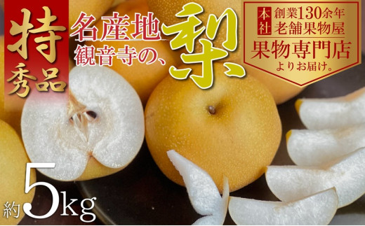 【2025年先行予約】特秀品!観音寺の梨(豊水・南水)約5kg 果物 フルーツ デザート おやつ 食後 国産 日本産 産地直送 みずみずしい シャキシャキ 911796 - 香川県観音寺市