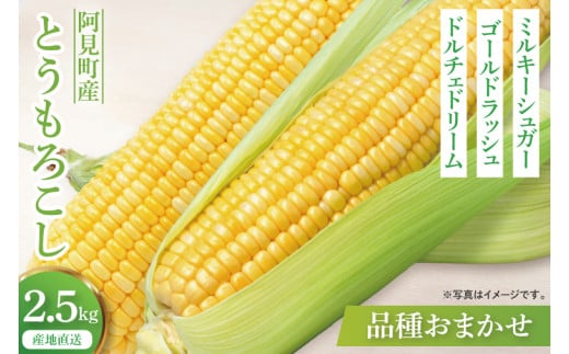 【6月末から7月下旬までの発送】トウモロコシ 約2.5kg【朝採れ 甘い とうもろこし 玉蜀黍】(84-07)