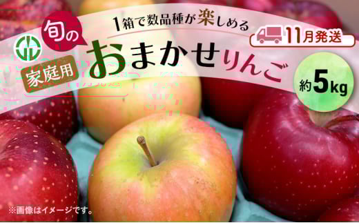 [№5554-0262]りんご 【 11月発送 】 家庭用 旬のりんご 品種おまかせ 約 5kg 2品種～4品種 果物類 フルーツ 林檎 リンゴ 鶴田町 青森県 おやつ デザート