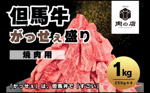 但馬牛 がっせぇ盛り（焼肉用・1kg）250g×4パック