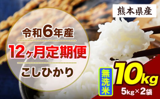 【12ヶ月定期便】令和6年産 定期便 こしひかり 10kg 無洗米 阿蘇 うぶやま 米 定期便 熊本県産 ふるさと納税 精米 ひの 米 こめ ふるさとのうぜい コシヒカリ コメ お米 おこめ《申込み翌月から出荷》 2144871 - 熊本県産山村