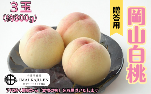 白桃 3玉 約800g 岡山県産 【先行予約 2025年7月上旬から順次発送】