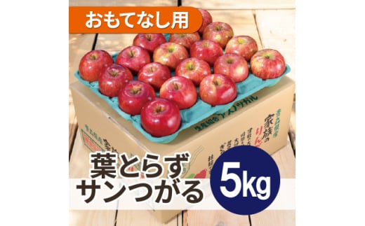 ＜25年10月より順次発送＞平均糖度12度以上! 葉とらずサンつがる 約5kg おもてなし用【1611762】 2096802 - 青森県黒石市