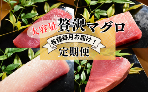 [№5695-2040]【計4回お届け】贅沢マグロ定期便【冷凍】メバチマグロ上赤身6柵・中とろ4柵・ビンチョウマグロ脂柵6柵・天然ミナミマグロ上赤身脂450g×2
