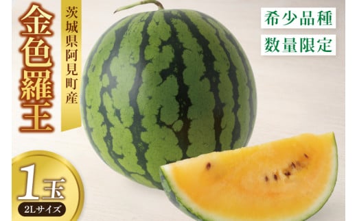 【6月中旬から7月中旬の発送】すいか 金色羅皇 2Ｌ玉1個【ミネラル豊富 甘い 新品種 水分補給 おやつ】(84-02) 2140963 - 茨城県阿見町